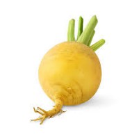 Navet boule d'or - 500g